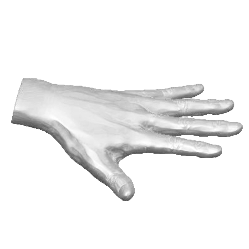 pp_hands01_12.png