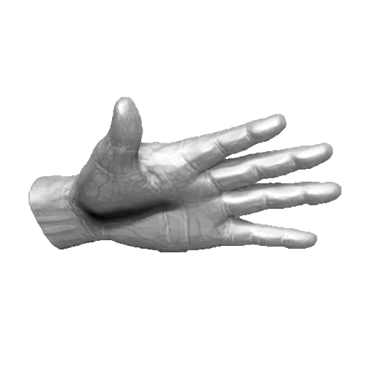 pp_hands01_17.png