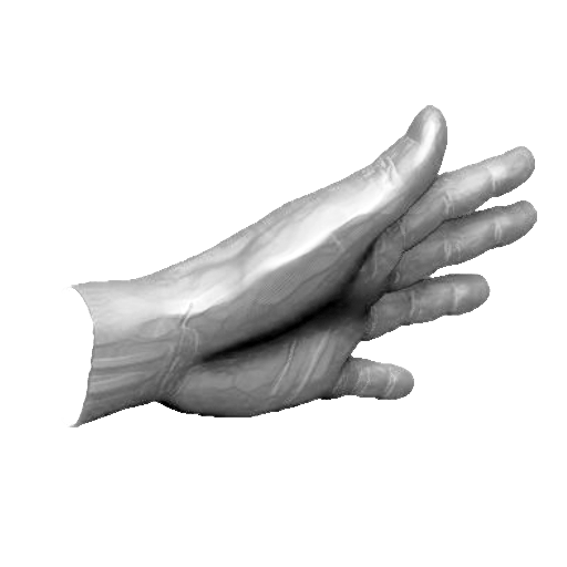 pp_hands01_19.png