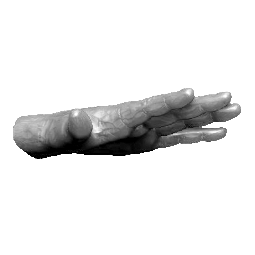 pp_hands01_20.png