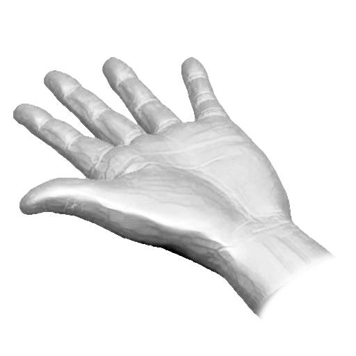 pp_hands01_34.png