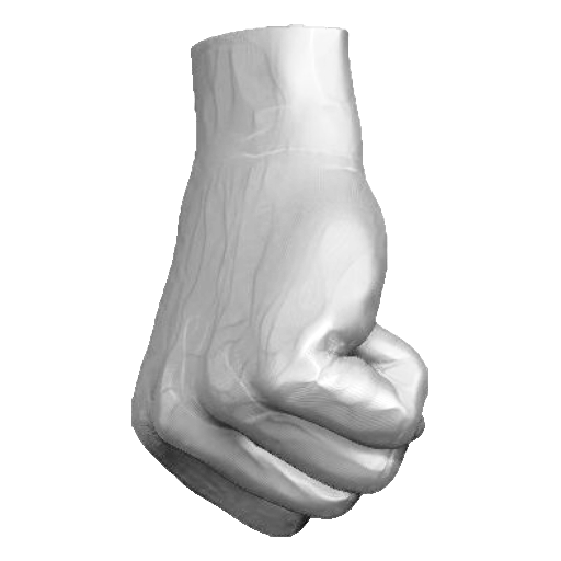 pp_hands_02_02.png