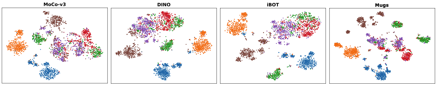 T-SNE visualization of the learned feature by ViT-B/16.